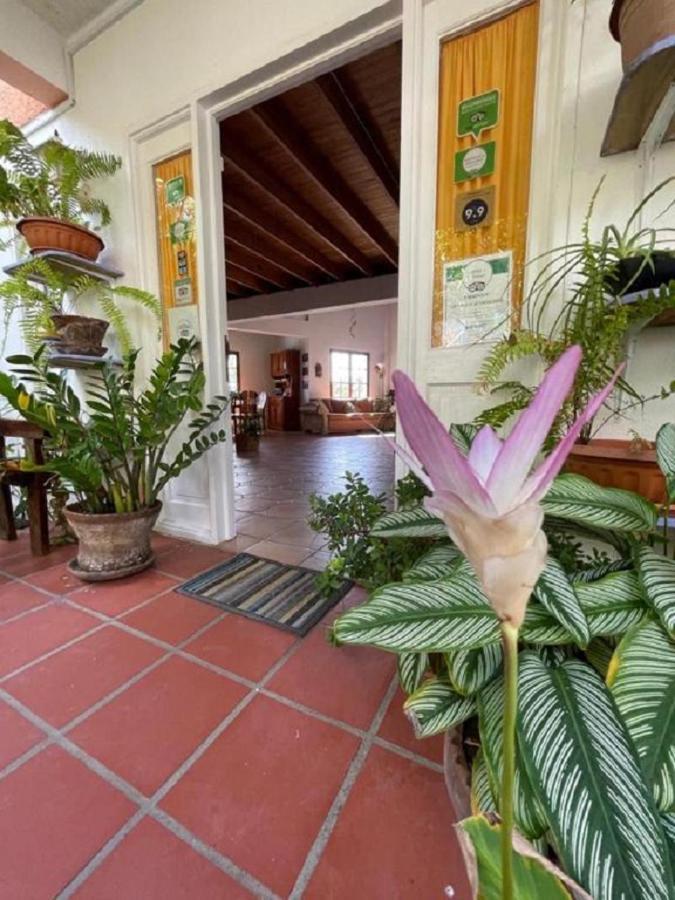 Villa Caribbean Dream Vieux Fort Luaran gambar