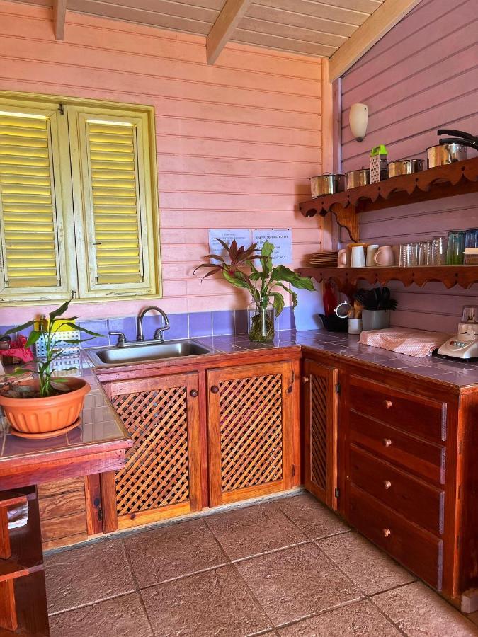 Villa Caribbean Dream Vieux Fort Luaran gambar