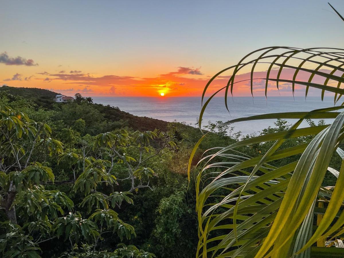 Villa Caribbean Dream Vieux Fort Luaran gambar