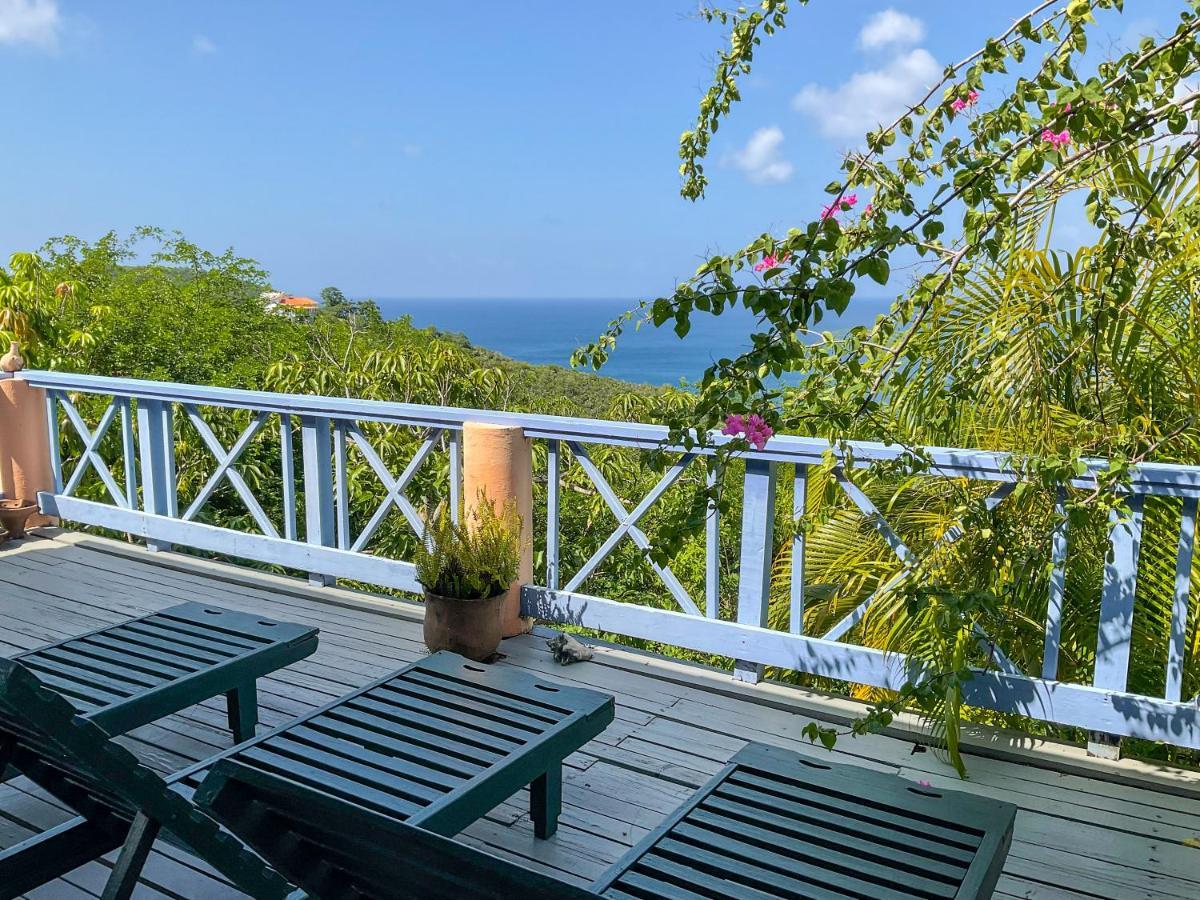 Villa Caribbean Dream Vieux Fort Luaran gambar