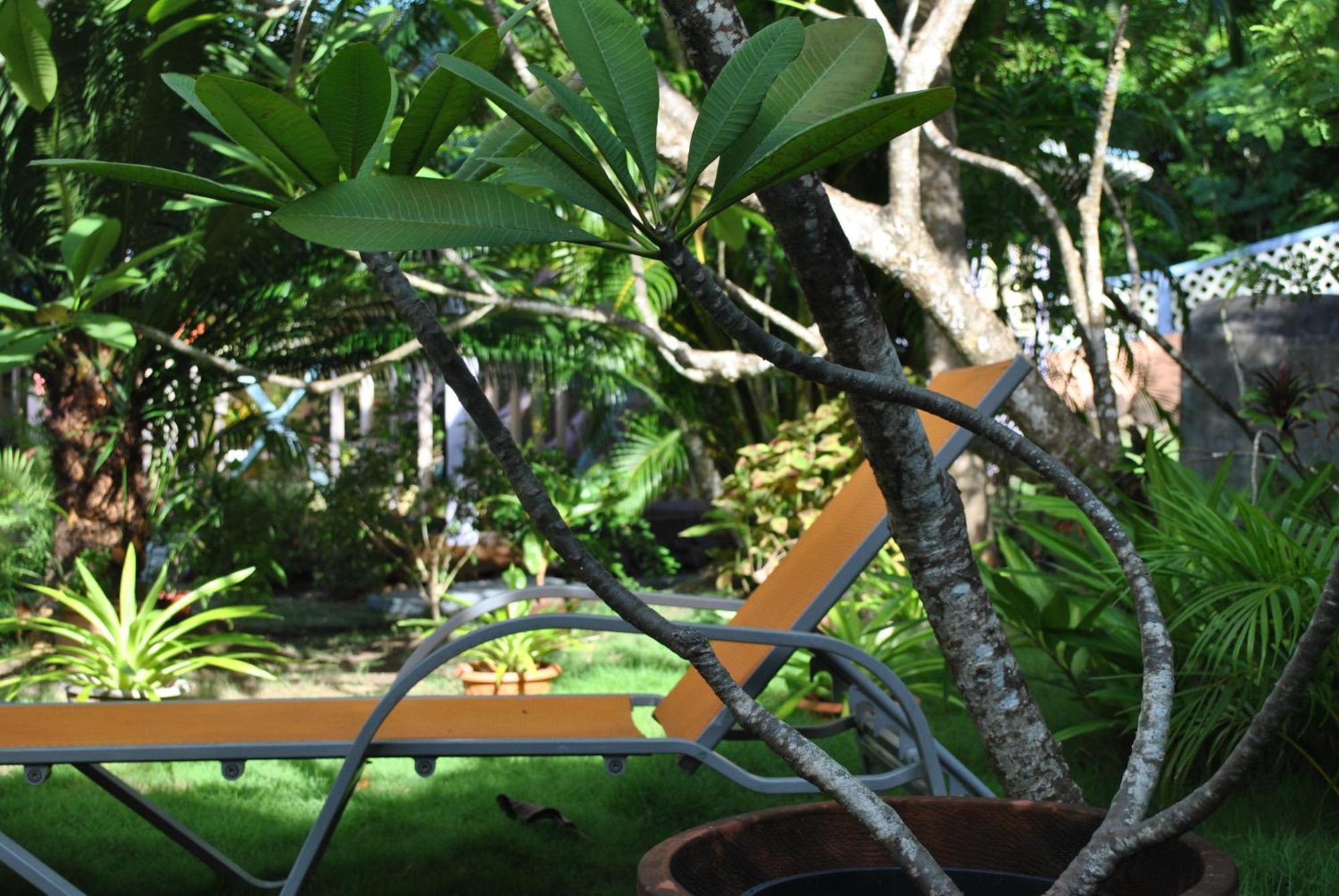 Villa Caribbean Dream Vieux Fort Luaran gambar