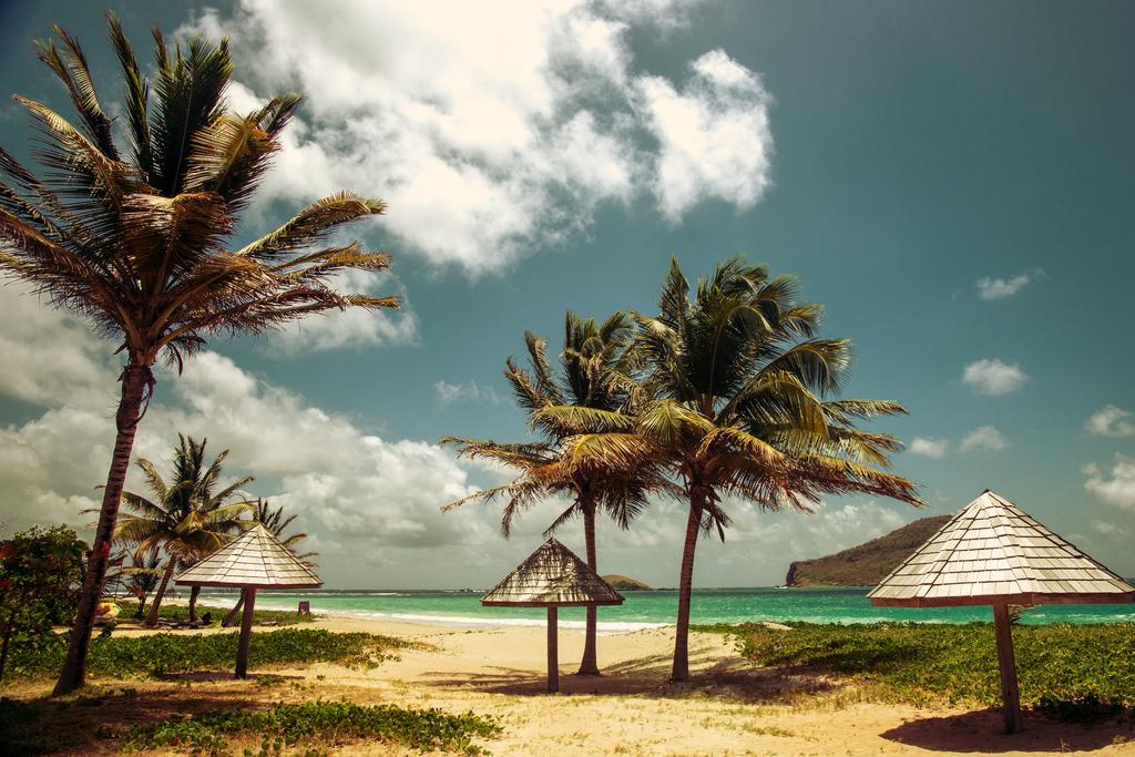 Villa Caribbean Dream Vieux Fort Luaran gambar