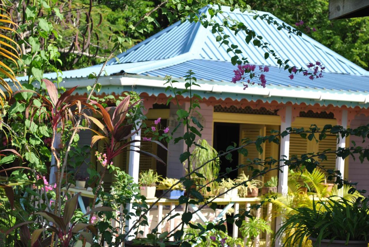 Villa Caribbean Dream Vieux Fort Luaran gambar